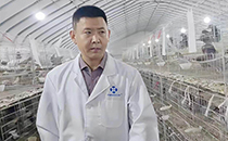 楊毅——特養(yǎng)網(wǎng)智庫(kù)專家